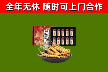 台北回收冬虫夏草价格